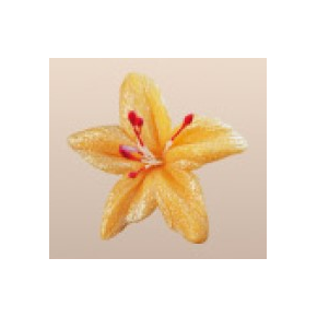 Cukrový květ hvězdný prach 4 cm, cihlový, sada 5 ks. | MAGMART, 041