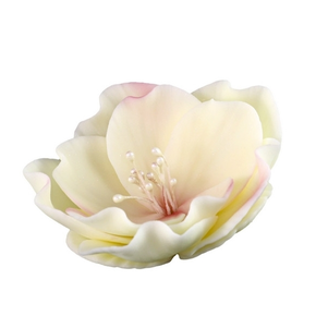 Kwiat eustoma mała z cukru 8 cm, ecru-różowy | MAGMART, K 013M