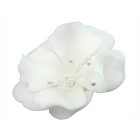 Malý květ cukrové magnolie 5,5 cm, bílý,  | MAGMART, K 024M
