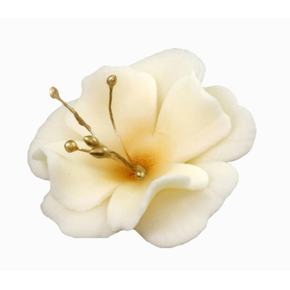 Malý květ cukrové magnolie 5,5 cm, écru, | MAGMART, K 024M