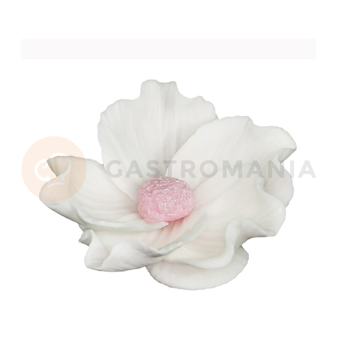 Květ divoké růže malý z cukru 8 cm, bílá | MAGMART, K 014M