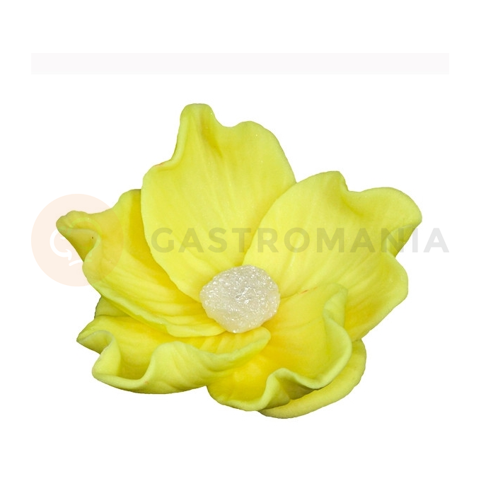 Květ divoké růže malý z cukru 8 cm, žlutá | MAGMART, K 014M