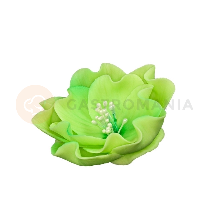Květ jícnovky malý z cukru 8 cm, limetkově zelená | MAGMART, K 013M