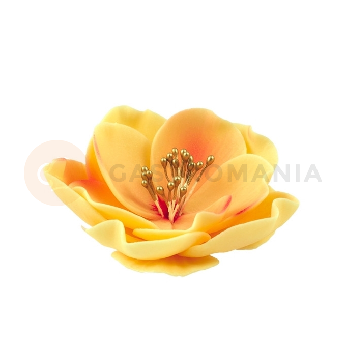 Kwiat eustoma mała z cukru 8 cm, herbaciany | MAGMART, K 013M
