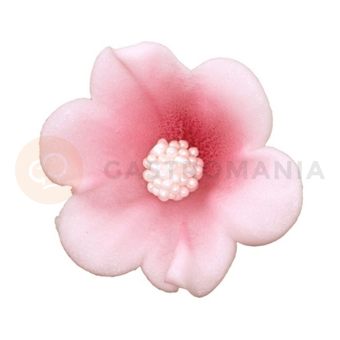 Malý cukrový květ mercedesu 4 cm, růžový, sada 5 ks. | MAGMART, K 010