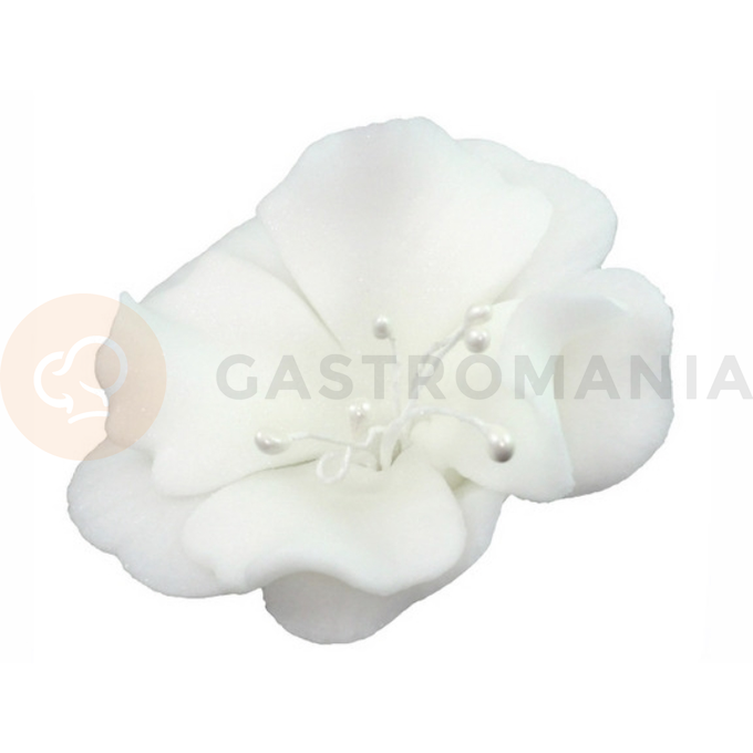 Malý květ cukrové magnolie 5,5 cm, bílý,  | MAGMART, K 024M