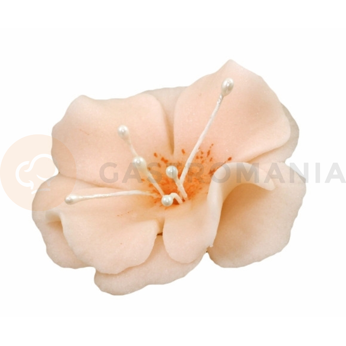 Malý květ cukrové magnolie 5,5 cm, lososový,  | MAGMART, K 024M