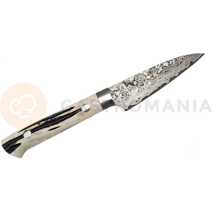 Nůž loupací, ručně kovaný, 9 cm R-2 | TAKESHI SAJI, HB-451
