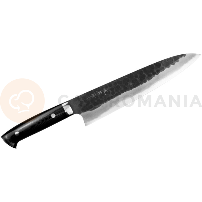 Ručně kovaný nůž šéfkuchaře, 24 cm | TAKESHI SAJI, Super Aogami
