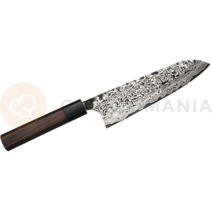 Ručně kovaný nůž Santoku, 18 cm, R-2 | TAKESHI SAJI, H-R2D-SA-180RW