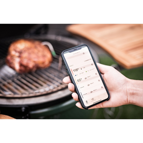 EGG Genius | BIG GREEN EGG, 121059