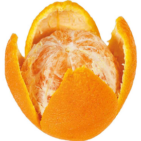 Nůž na citrusov plody | TRIANGLE, 334113