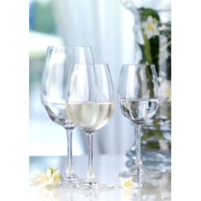 Sklenice na vino 450 ml | AMBITION, Pinotage