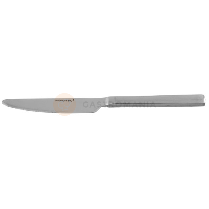 Nůž jídelní  monoblock 230 mm - sada 12 kusů | AMBITION, Prato