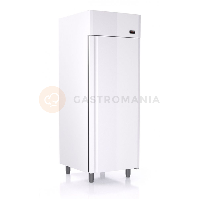 Chladicí skříň jednodveřová, 640x830x2040 mm | BOLARUS, Gastro C500