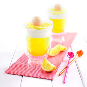 Želatina s příchutí citronu, 5 kg | ZEELANDIA, 1TA.Z001.01P.0050C