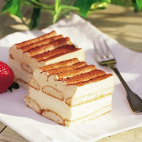 Stabilizátor šlehačky s příchutí tiramisu, 0,5 kg | ZEELANDIA, Zeesan Tiramisu