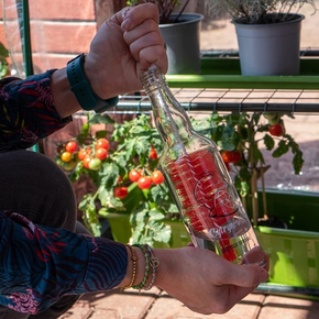 Kartáč na láhve 0,5 l | BROWIN, 352011
