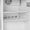 Mrazicí skříň s plnými dveřmi, nerez | TEFCOLD, UF 200 VS