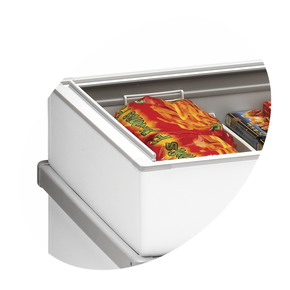 Zamrażarka skrzyniowa, szklana pokrywa | TEFCOLD, SS F250