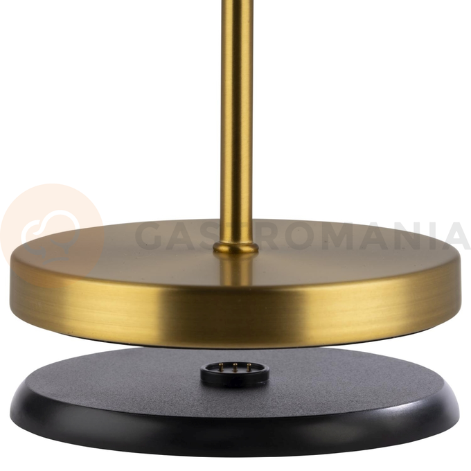 Stolní lampa 110x305 mm, zlatá | APS, Merle