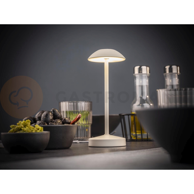 Stolní lampa 80x200 mm, bílá | APS, Alva