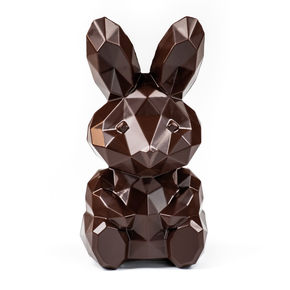 Polykarbonátová forma na pralinky, 275x175 mm | MARTELLATO, Roger