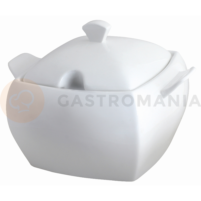 Porcelánová mísa na polévku 4100 ml | AMBITION, Kubiko/Fala