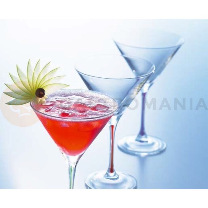 Sklenice na martini 230 ml | PASABAHCE, Enoteca