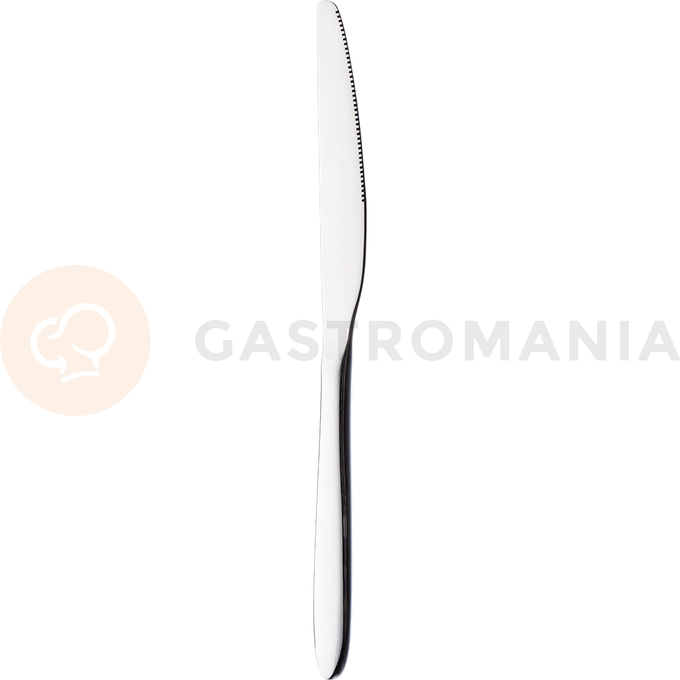 Příborový nůž 23 cm | STALGAST, Segura
