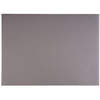 Prostírání na stůl 45 x 32,5 cm, šedé | APS, Kunstleder