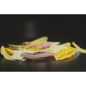 Špachtle na čokoládu ve tvaru lístku - 120x25 mm | SILIKOMART, Choco Leaves Spatula