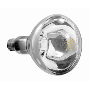 Žárovka do infračervené lampy IWL250D-W | BARTSCHER, 114277