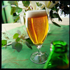 Sklenice na pivo 380 ml | ARCOROC, Cervoise