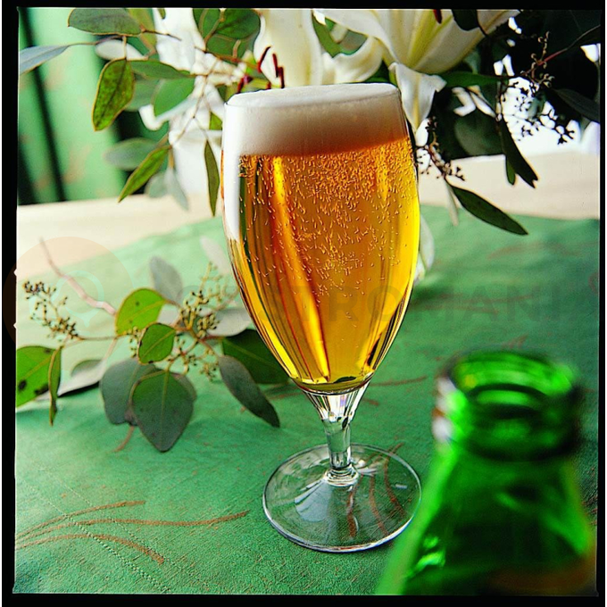 Sklenice na pivo 320 ml | ARCOROC, Cervoise