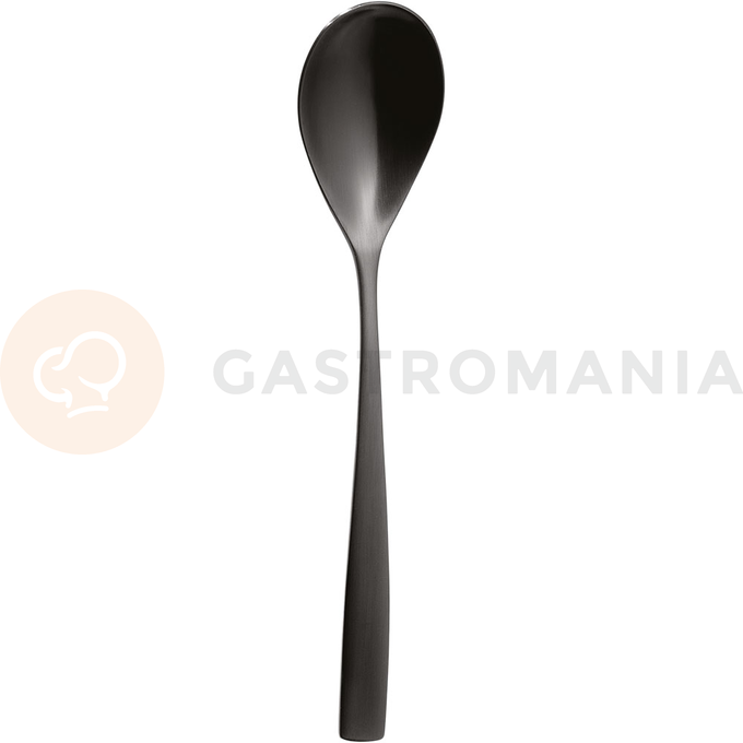 Lžíce polévková, černá, 200 mm | COMAS, BCN Kolor