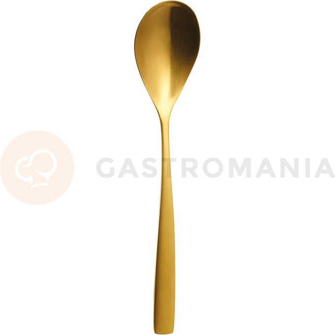 Lžíce polévková, zlatá, 200 mm | COMAS, BCN Kolor
