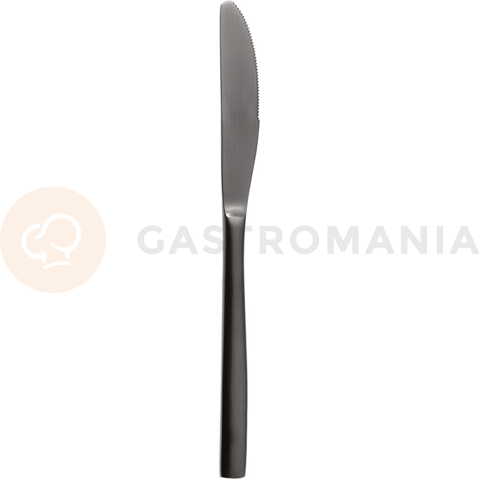 Nůž masový, černý, 221 mm | COMAS, BCN Kolor