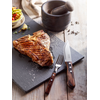 Nůž na steaky 250 mm, hnědý | TRAMONTINA, Jumbo