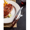 Vidlice na steaky 210 mm, hnědá | TRAMONTINA, Jumbo