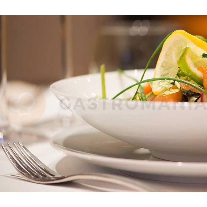 Porcelánový talíř mělký gourmet 28 cm | ARIANE, Style