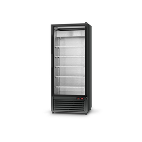 Chladící skříň jednostranně prosklená s křídlovými dveřmi, spodní agregát, ventilátor, 3. tř., 725x720x2000 mm | RAPA, SCh - S 725 ecoline